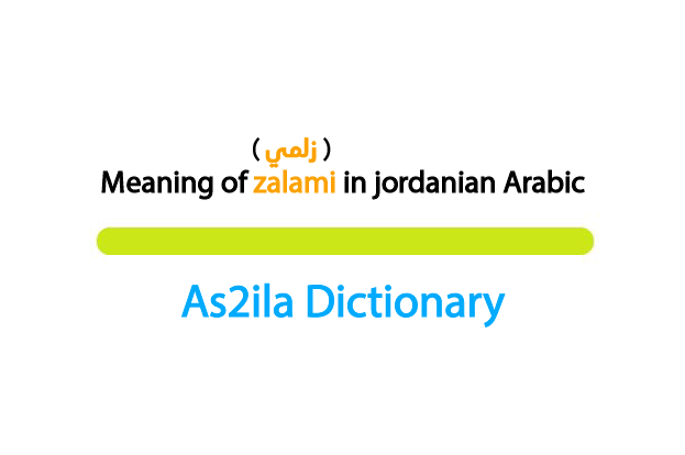 meaning of word zalami