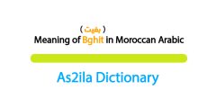 meaning of bghit