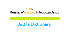 demi is a moroccan darija word meaning ( my blood ) .