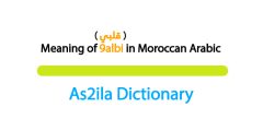 meaning of word 9albi in moroccan darija