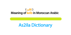 meaning of word kelb in moroccan darija