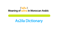 meaning of word salina in darija moroccan