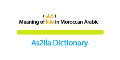 meaning of word kilo